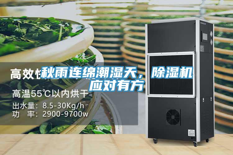 秋雨連綿潮濕天，除濕機應對有方