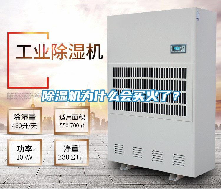 除濕機(jī)為什么會(huì)買(mǎi)火了？