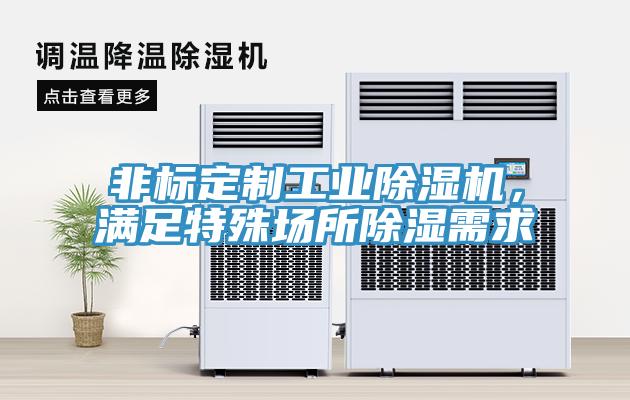 非標定制工業除濕機，滿足特殊場所除濕需求