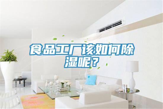 食品工廠該如何除濕呢？