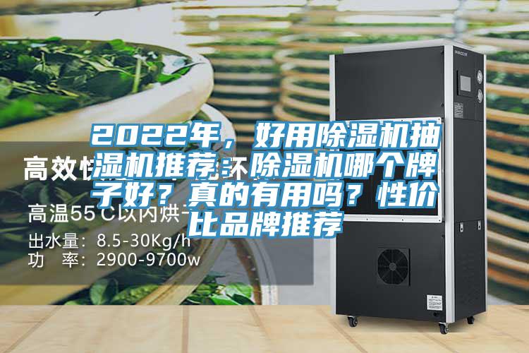 2022年，好用除濕機(jī)抽濕機(jī)推薦：除濕機(jī)哪個(gè)牌子好？真的有用嗎？性價(jià)比品牌推薦