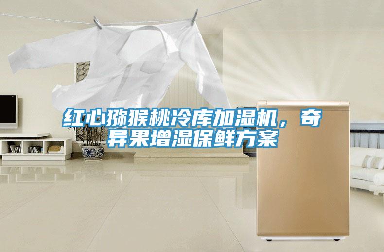 紅心獼猴桃冷庫加濕機(jī)，奇異果增濕保鮮方案