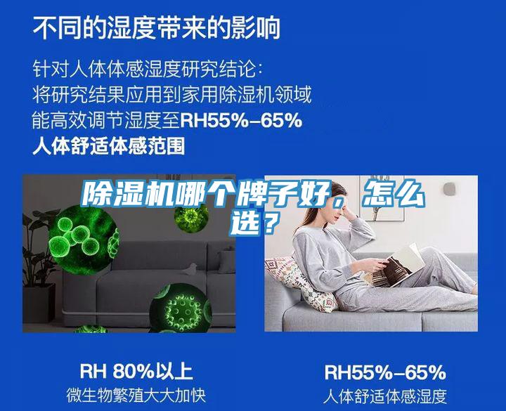 除濕機哪個牌子好，怎么選？