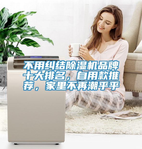 不用糾結除濕機品牌十大排名，自用款推薦，家里不再潮乎乎