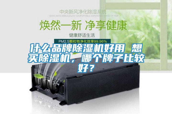 什么品牌除濕機好用 想買除濕機，哪個牌子比較好？