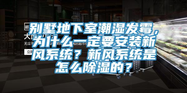 別墅地下室潮濕發霉，為什么一定要安裝新風系統？新風系統是怎么除濕的？