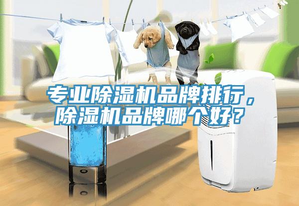 專業(yè)除濕機品牌排行，除濕機品牌哪個好？