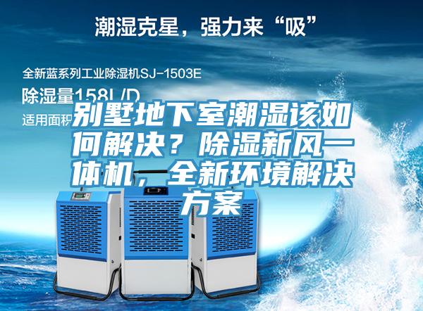 別墅地下室潮濕該如何解決？除濕新風(fēng)一體機(jī)，全新環(huán)境解決方案