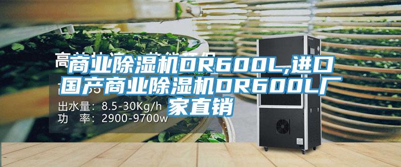 商業(yè)除濕機(jī)DR600L,進(jìn)口國產(chǎn)商業(yè)除濕機(jī)DR600L廠家直銷