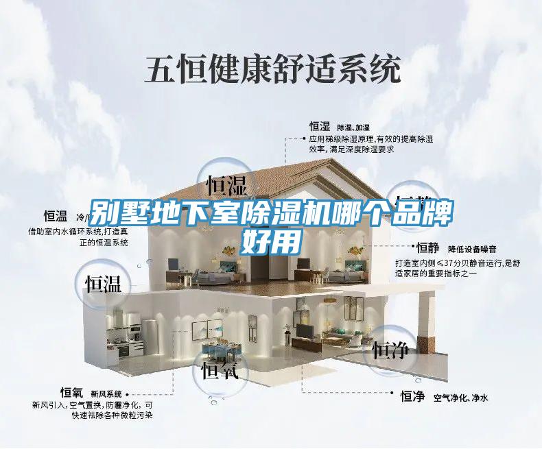 別墅地下室除濕機哪個品牌好用