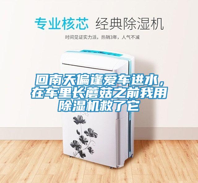 回南天偏逢愛車進水，在車里長蘑菇之前我用除濕機救了它