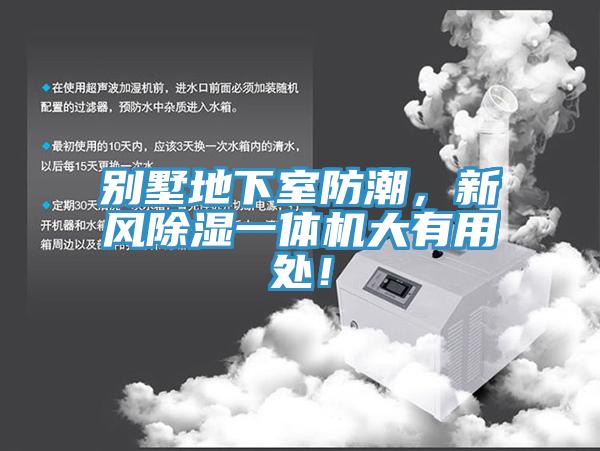 別墅地下室防潮，新風(fēng)除濕一體機(jī)大有用處！