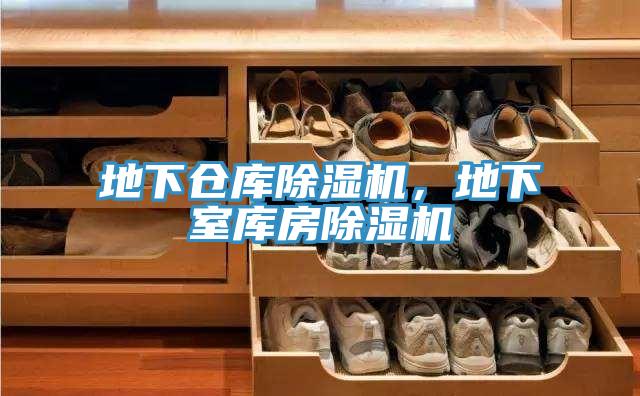地下倉庫除濕機(jī)，地下室?guī)旆砍凉駲C(jī)