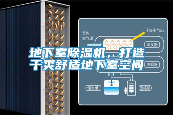 地下室除濕機，打造干爽舒適地下室空間