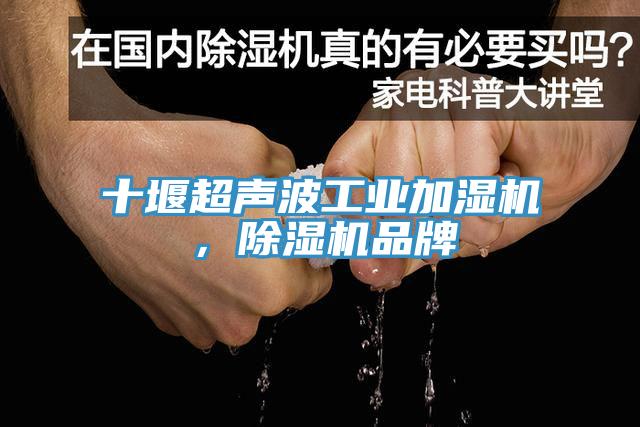 十堰超聲波工業加濕機，除濕機品牌