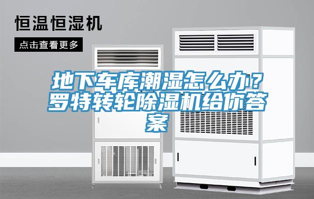 地下車庫潮濕怎么辦？羅特轉輪除濕機給你答案