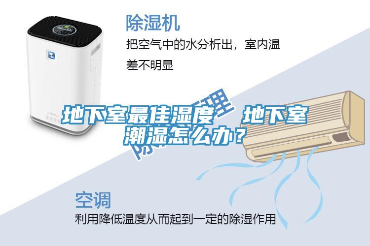 地下室最佳濕度  地下室潮濕怎么辦？