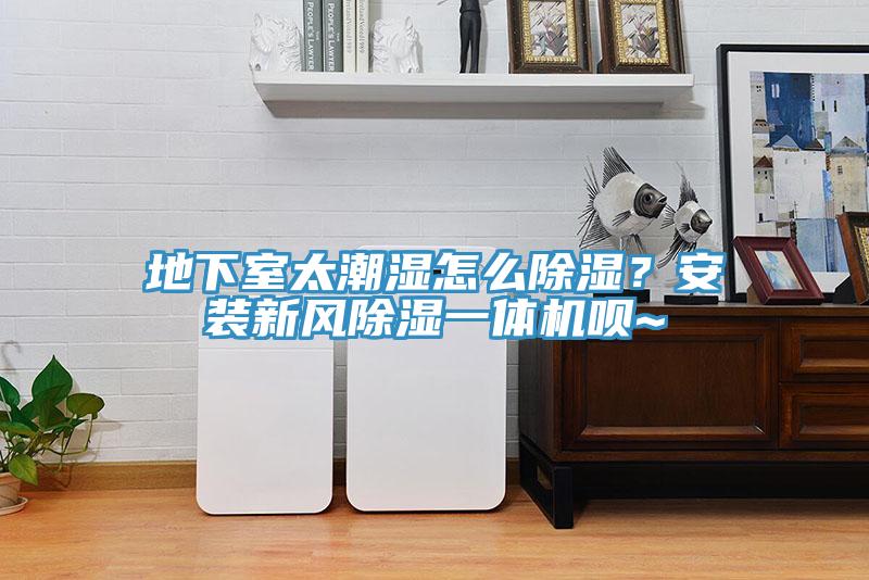 地下室太潮濕怎么除濕？安裝新風(fēng)除濕一體機(jī)唄~