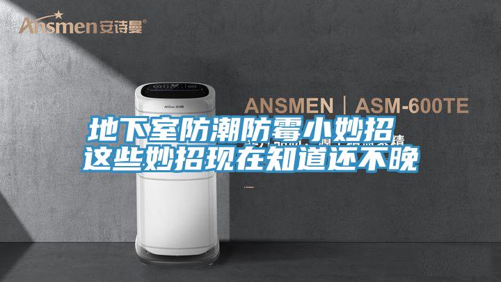 地下室防潮防霉小妙招 這些妙招現在知道還不晚
