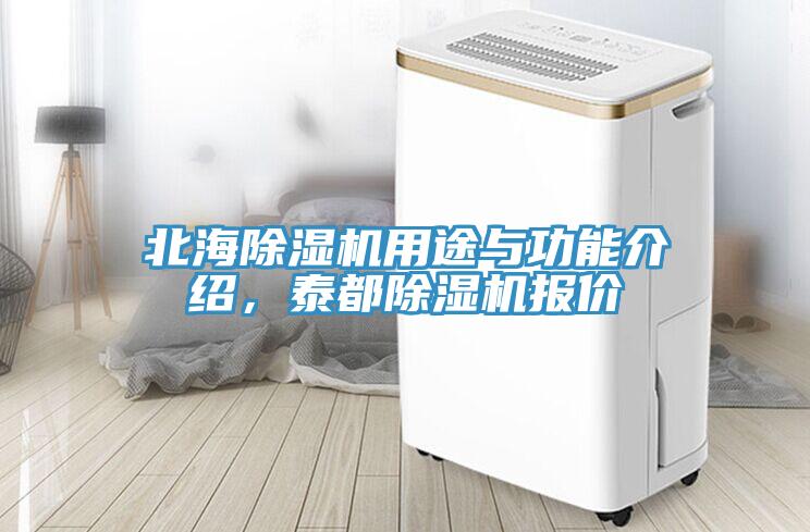 北海除濕機用途與功能介紹，泰都除濕機報價