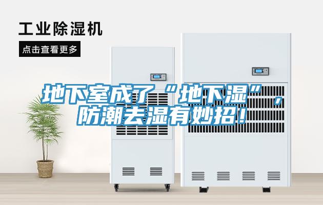 地下室成了“地下濕”，防潮去濕有妙招！