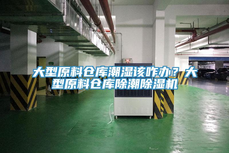 大型原料倉庫潮濕該咋辦？大型原料倉庫除潮除濕機