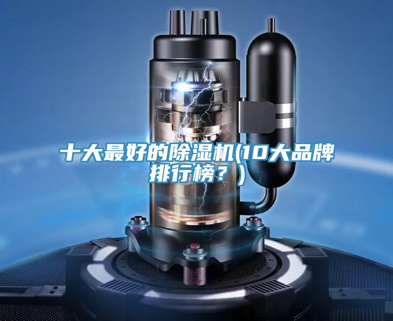十大最好的除濕機(10大品牌排行榜？)
