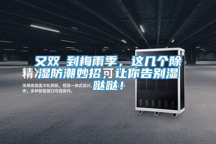 又雙叒到梅雨季，這幾個除濕防潮妙招，讓你告別濕噠噠！
