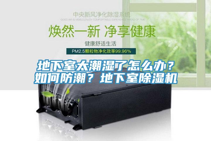 地下室太潮濕了怎么辦？如何防潮？地下室除濕機(jī)