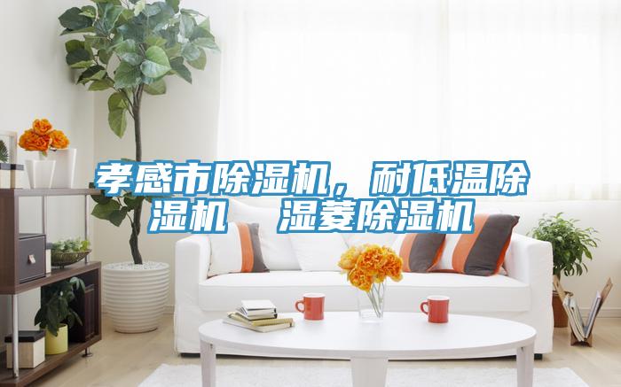 孝感市除濕機，耐低溫除濕機  濕菱除濕機