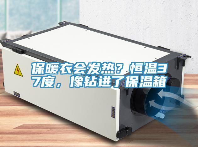 保暖衣會發熱？恒溫37度，像鉆進了保溫箱