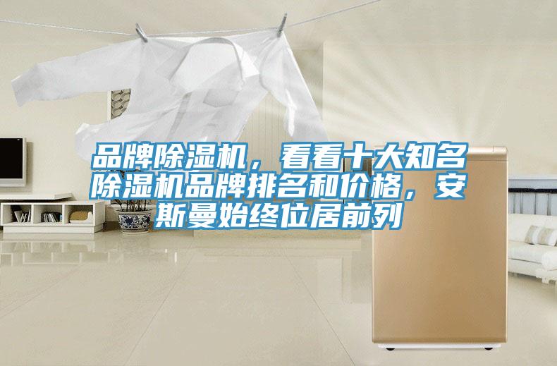 品牌除濕機，看看十大知名除濕機品牌排名和價格，安斯曼始終位居前列
