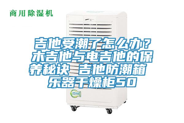 吉他受潮了怎么辦？木吉他與電吉他的保養秘訣 吉他防潮箱 樂器干燥柜50