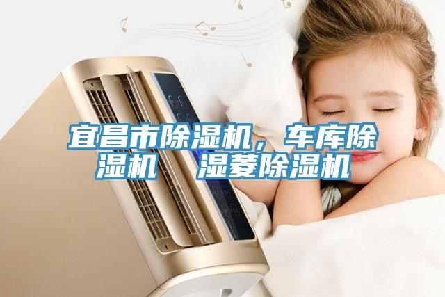 宜昌市除濕機，車庫除濕機  濕菱除濕機