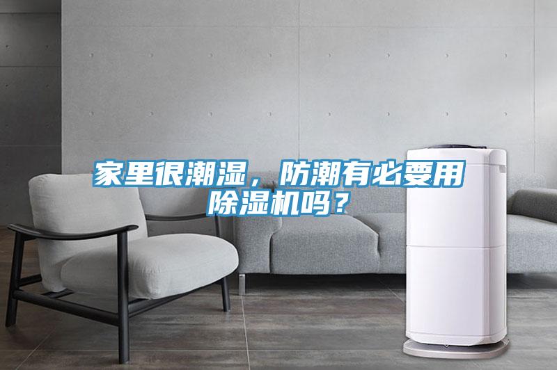 家里很潮濕，防潮有必要用除濕機嗎？