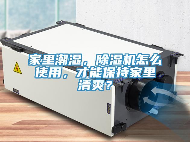 家里潮濕，除濕機怎么使用，才能保持家里清爽？