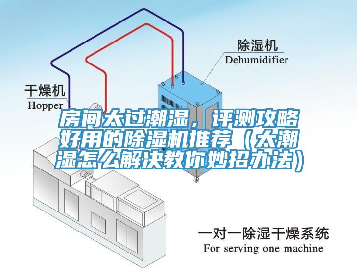 房間太過潮濕，評測攻略好用的除濕機推薦（太潮濕怎么解決教你妙招辦法）