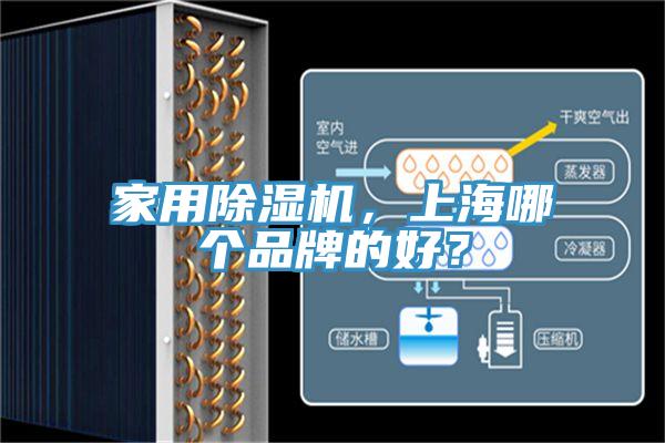 家用除濕機(jī)，上海哪個(gè)品牌的好？