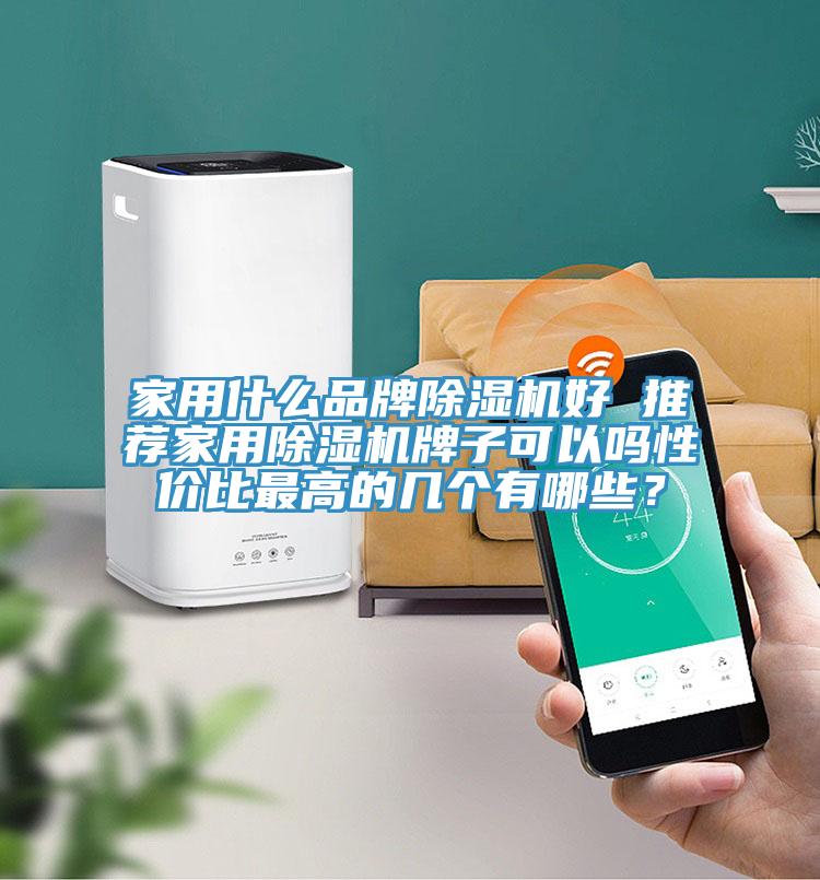 家用什么品牌除濕機(jī)好 推薦家用除濕機(jī)牌子可以嗎性?xún)r(jià)比最高的幾個(gè)有哪些？
