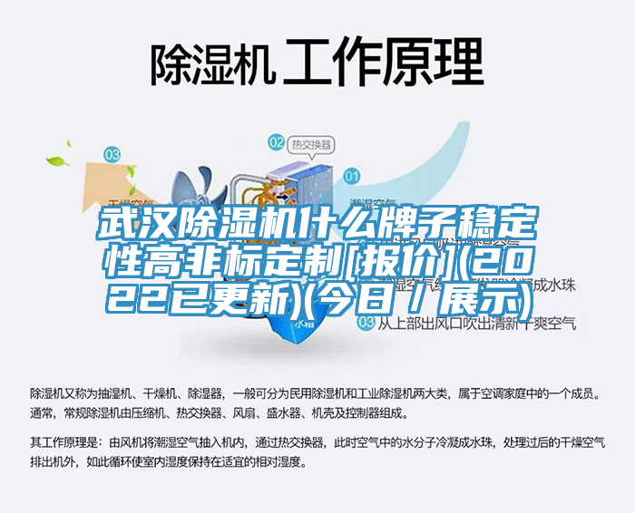 武漢除濕機什么牌子穩(wěn)定性高非標(biāo)定制[報價](2022已更新)(今日／展示)