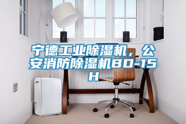 寧德工業除濕機，公安消防除濕機BD-15H