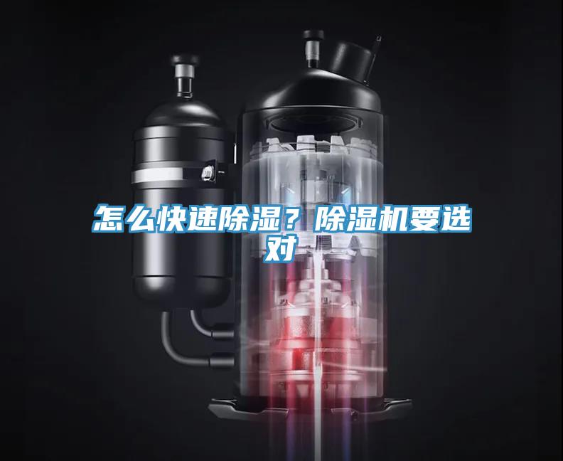 怎么快速除濕？除濕機要選對
