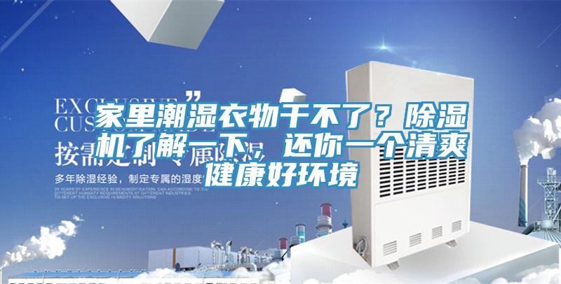家里潮濕衣物干不了？除濕機了解一下，還你一個清爽健康好環境