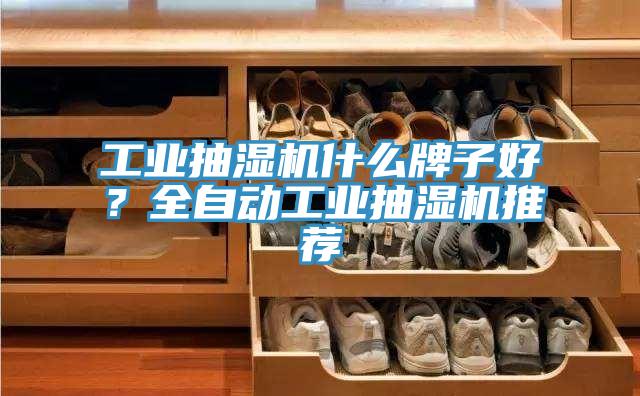 工業(yè)抽濕機(jī)什么牌子好？全自動工業(yè)抽濕機(jī)推薦