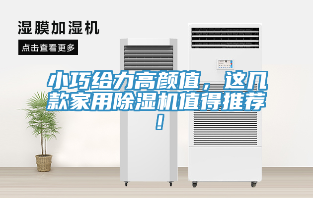 小巧給力高顏值，這幾款家用除濕機值得推薦！