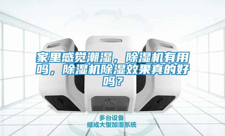 家里感覺潮濕，除濕機有用嗎，除濕機除濕效果真的好嗎？