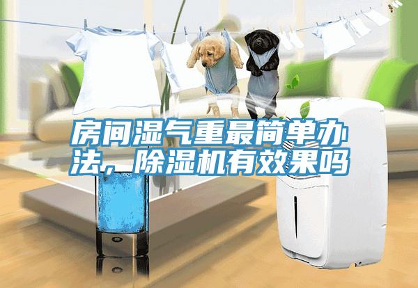 房間濕氣重最簡單辦法，除濕機有效果嗎