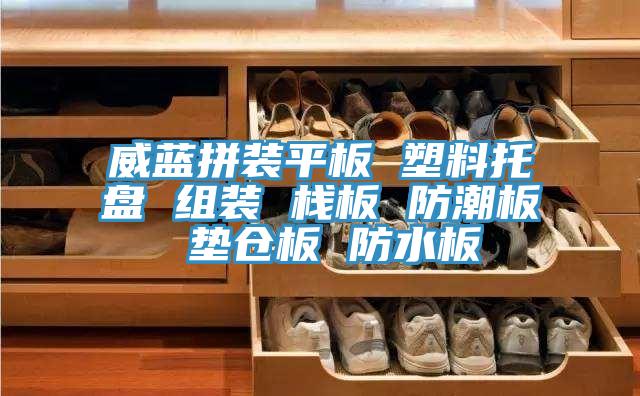 威藍(lán)拼裝平板 塑料托盤(pán) 組裝 棧板 防潮板 墊倉(cāng)板 防水板