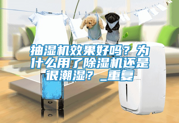 抽濕機效果好嗎？為什么用了除濕機還是很潮濕？_重復