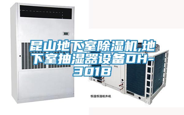 昆山地下室除濕機,地下室抽濕器設(shè)備DH-301B